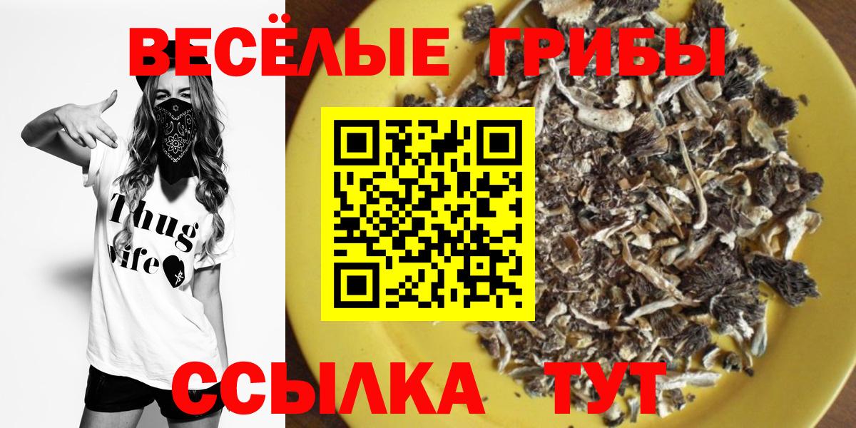 Галлюциногенные грибы мухоморы  Вход с VPN  Славгород  Псилоцибиновые грибы мицелий 