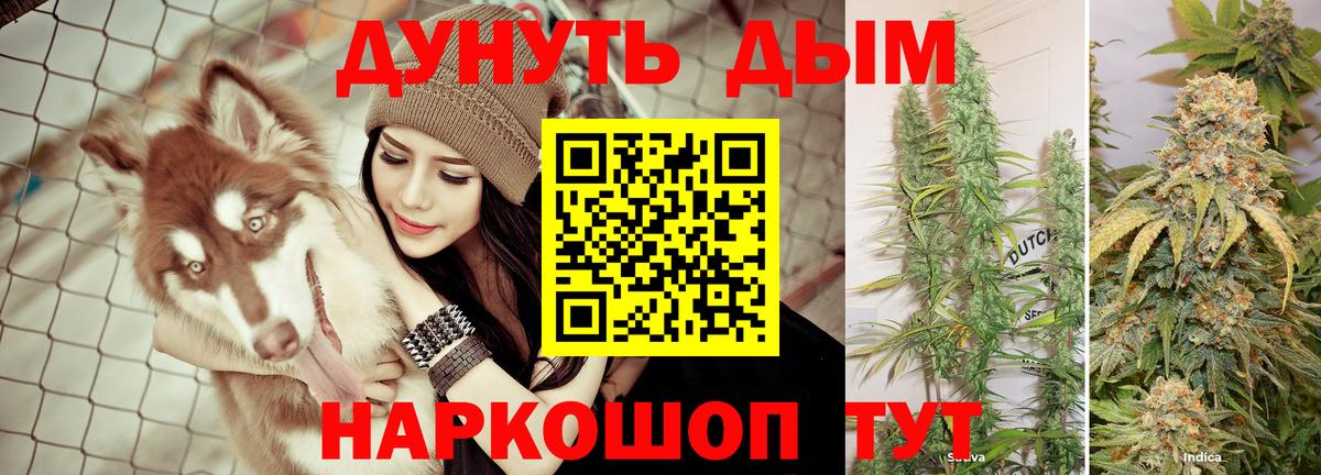 Каннабис сатива  Каннабис Ganja  Марихуана марихуана  Бошки марихуана марихуана  Славгород  Вход с VPN 